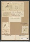 Coscinodiscus patina Ehr. (de-Toni-Nr.: Genus 202, Species 4991) Zeichnungen Sammlung Grunow Nr. 8707 (NHMW-BOT-W0378275)